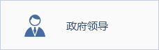政府领导